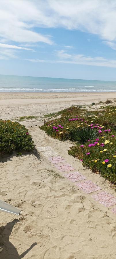 Casa Roberto Beach Torvaianica Zewnętrze zdjęcie